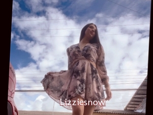 Lizziesnow