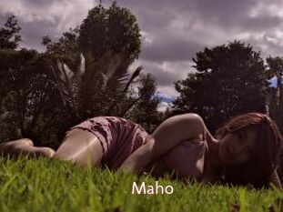 Maho