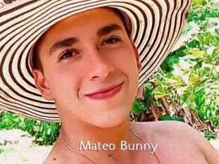Mateo_Bunny