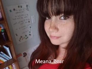 Meana_Bear