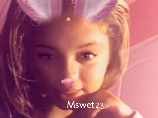 Mswet23
