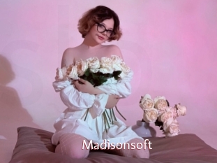 Madisonsoft