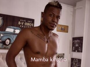 Mamba_king60