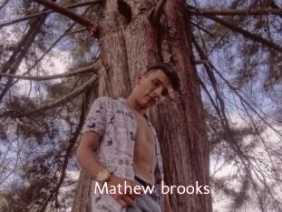 Mathew_brooks