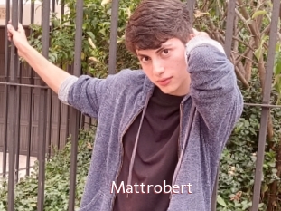Mattrobert