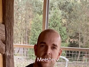 Meesterv