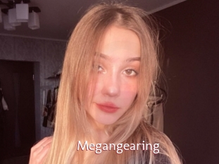 Megangearing