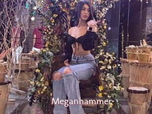 Meganhammer