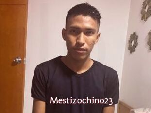 Mestizochino23