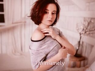 Miniamely