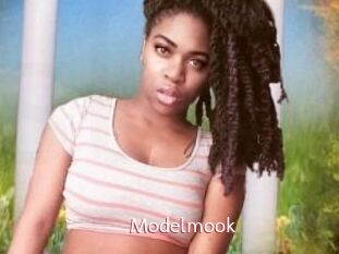 Modelmook