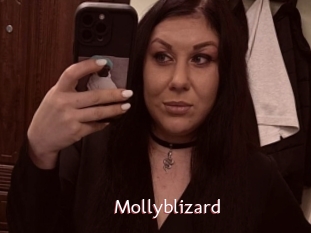 Mollyblizard