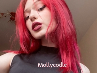 Mollycodle