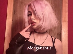 Morgansnus
