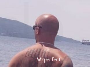 Mrperfect