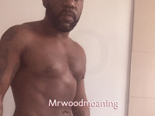 Mrwoodmoaning