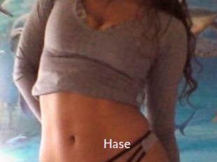 Hase