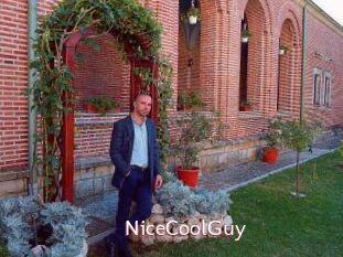 NiceCoolGuy