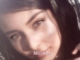 Nicekitty