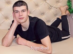 NigelBud