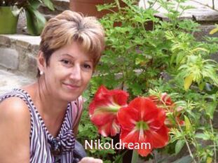 Nikoldream