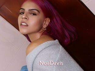 NoaDavis