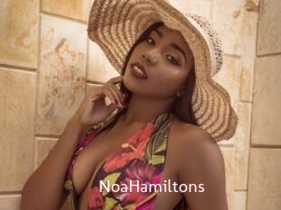 NoaHamiltons