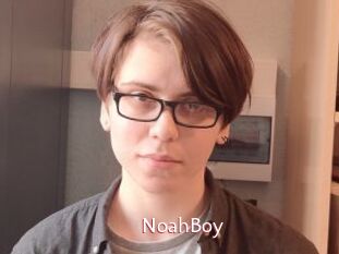 NoahBoy