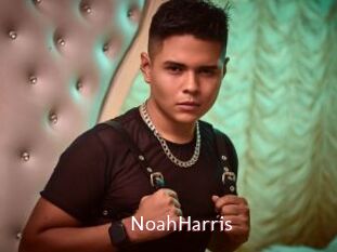 NoahHarris