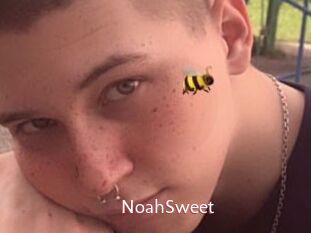 NoahSweet