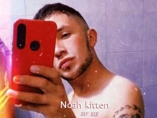 Noah_kitten