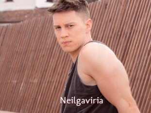 Neilgaviria