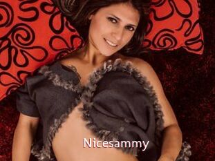 Nicesammy