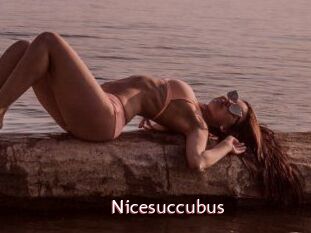 Nicesuccubus