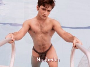 Noaheden