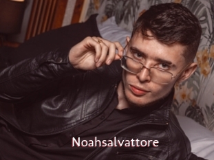 Noahsalvattore