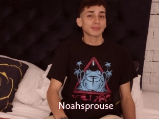 Noahsprouse