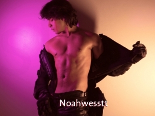 Noahwesstt