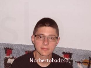 Norbertobadzso