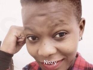 Nozy
