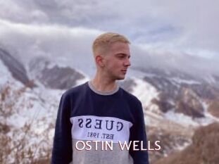 OSTIN_WELLS