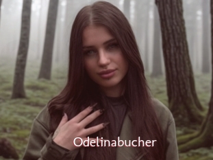 Odelinabucher