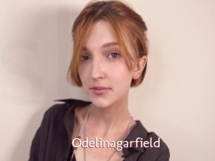 Odelinagarfield