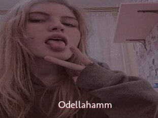 Odellahamm