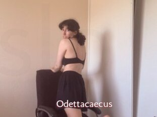 Odettacaecus