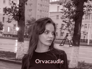 Orvacaudle