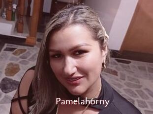 Pamelahorny