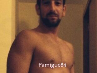 Pamigue84