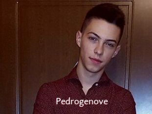 Pedrogenove