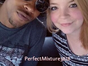 PerfectMixture3828